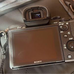 Sony A7ii